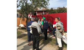 Animare Comuna Ștefan cel Mare