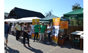 Animare Comuna Orbeni 