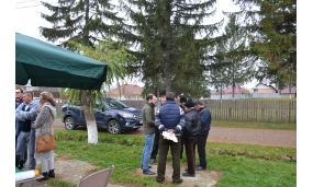 Animare Comuna Mănăstirea Cașin 